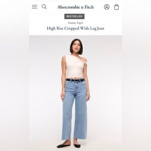 Abercrombie & Fitch High Rise Cropped Wide Leg Jean - Curve Love
